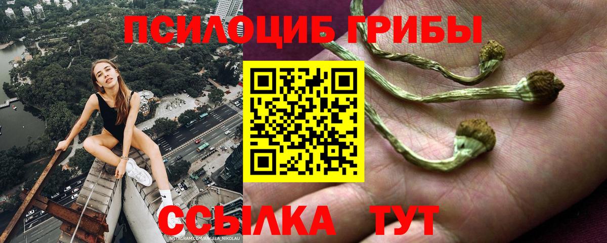 Псилоцибиновые грибы ЛСД  Вход с VPN  хочу наркоту  Касимов  Галлюциногенные грибы прущие грибы 